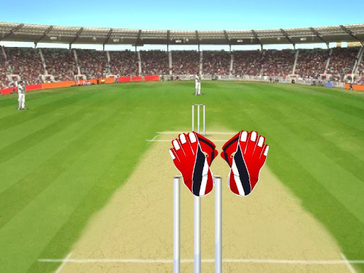 Cricket Wicket Game